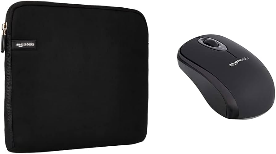 Amazon.com: Amazon Basics Wireless Computer Mouse with Nano ...